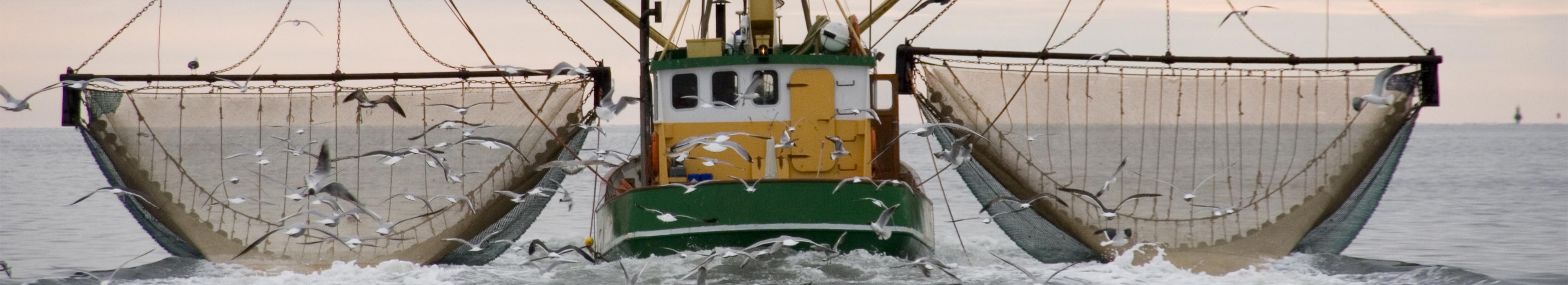 Testata Marine Commercial ZOOM