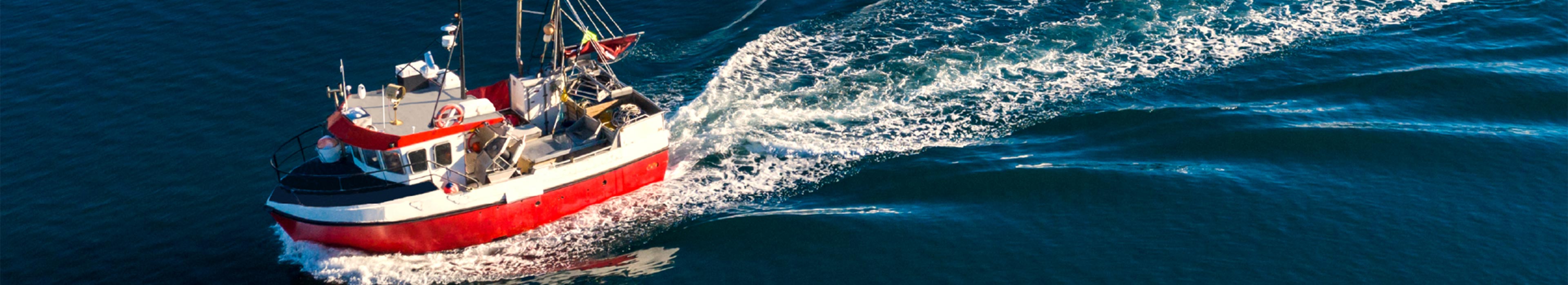 Testata Marine ZOOM